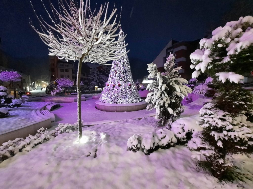 Zaključak Vlade Republike Srpske – 14. januar neradan dan