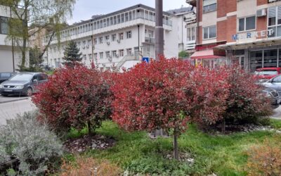 САОПШТЕЊЕ ЗА ЈАВНОСТ