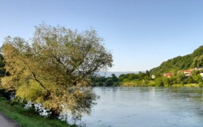 САОПШТЕЊЕ ЗА ЈАВНОСТ