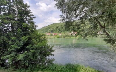 САОПШТЕЊЕ ЗА ЈАВНОСТ