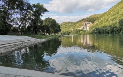 САОПШТЕЊЕ ЗА ЈАВНОСТ
