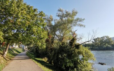 САОПШТЕЊЕ ЗА ЈАВНОСТ