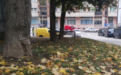 САОПШТЕЊЕ ЗА ЈАВНОСТ