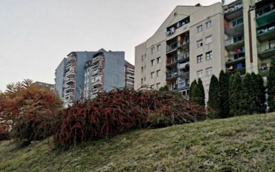 САОПШТЕЊЕ ЗА ЈАВНОСТ