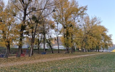 САОПШТЕЊЕ ЗА ЈАВНОСТ