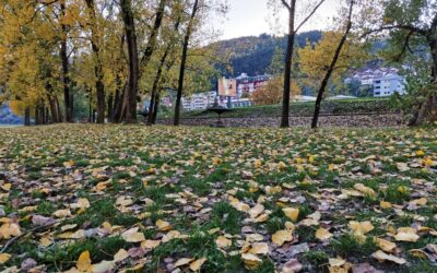 САОПШТЕЊЕ ЗА ЈАВНОСТ