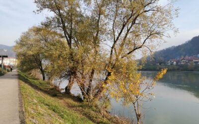 САОПШТЕЊЕ ЗА ЈАВНОСТ