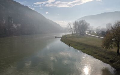 САОПШТЕЊЕ ЗА ЈАВНОСТ