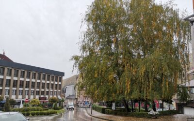 САОПШТЕЊЕ ЗА ЈАВНОСТ