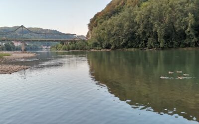 САОПШТЕЊЕ ЗА ЈАВНОСТ