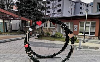 САОПШТЕЊЕ ЗА ЈАВНОСТ
