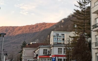 САОПШТЕЊЕ ЗА ЈАВНОСТ
