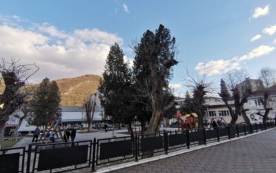 САОПШТЕЊЕ ЗА ЈАВНОСТ