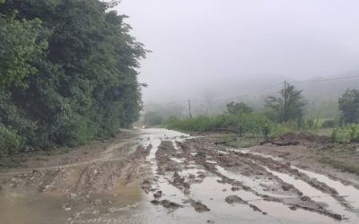 САОПШТЕЊЕ ЗА ЈАВНОСТ