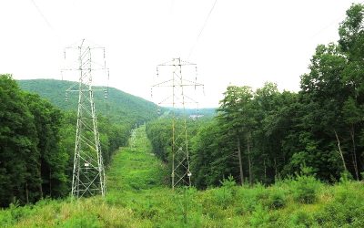 Обнављање шумског просјека на подручју Зворника