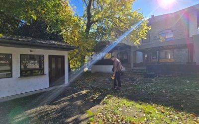 Почела реконструкција парка у улици Светог Саве