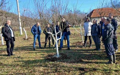 Одржана обука о резидби воћа у Горњим Грбавцима