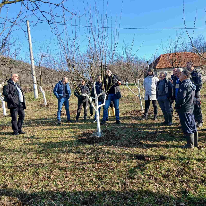 521120c8-c17c-49de-a21d-c7956b6929d9