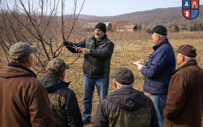 У уторак практична обука о резидби коштичавог воћа