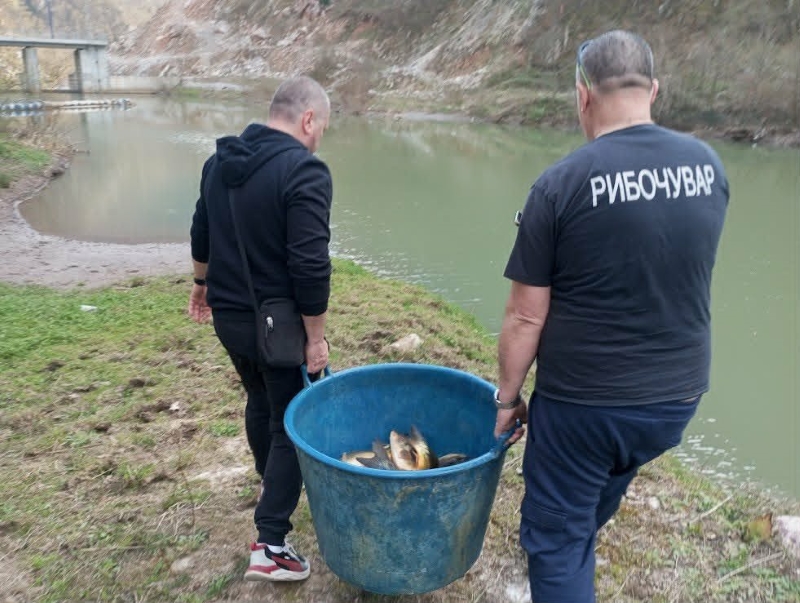 d17a6d70-7f80-4872-a625-acb2a48769c3