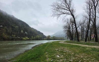 Орезивање стабала на градској плажи