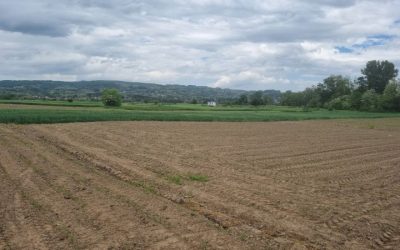 Besplatna agrohemijska analiza zemljišta