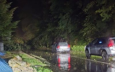 Nevrijeme izazvalo kvarove na elektromreži, ekipe na terenu